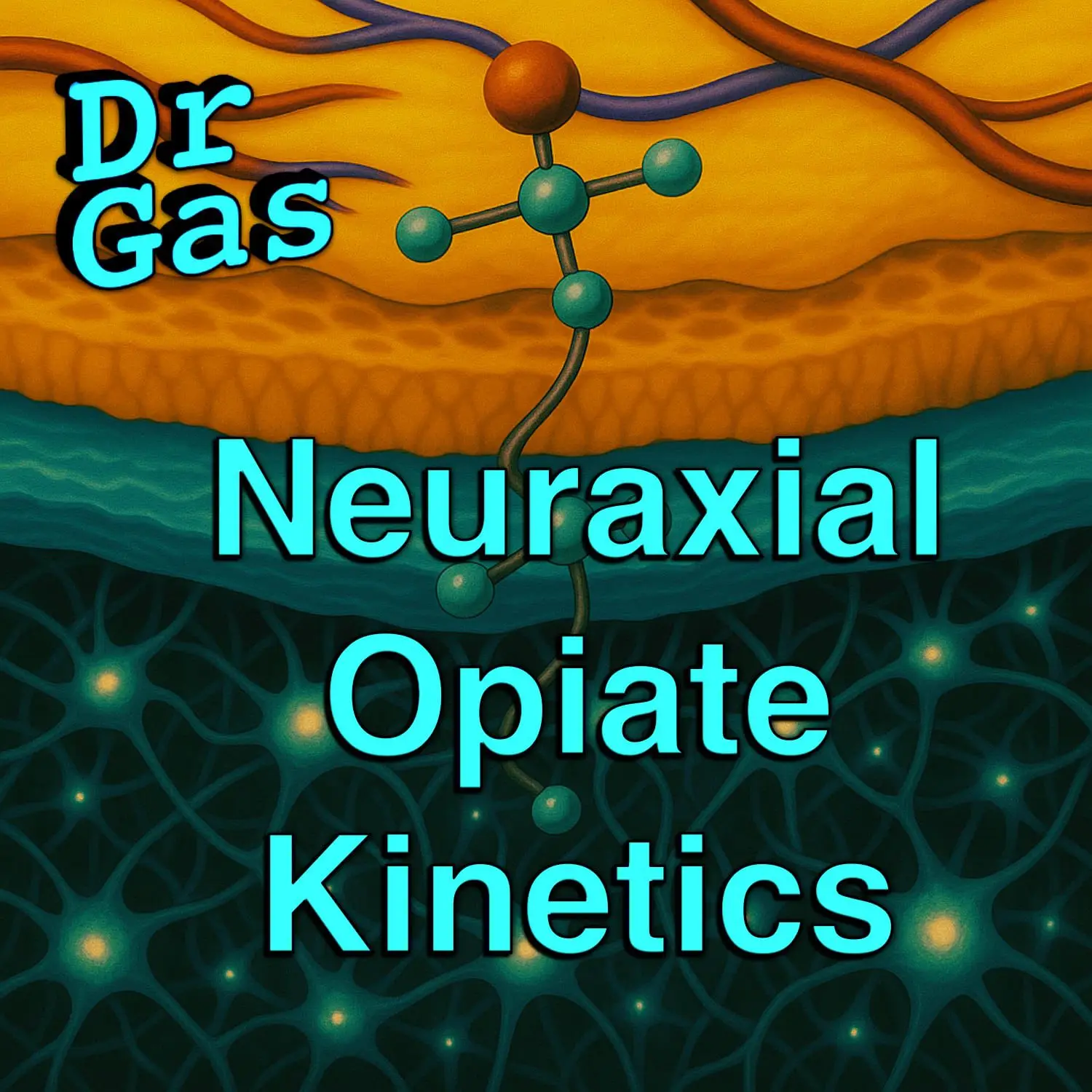Neuraxial opiate kinetics for the FRCA Primary