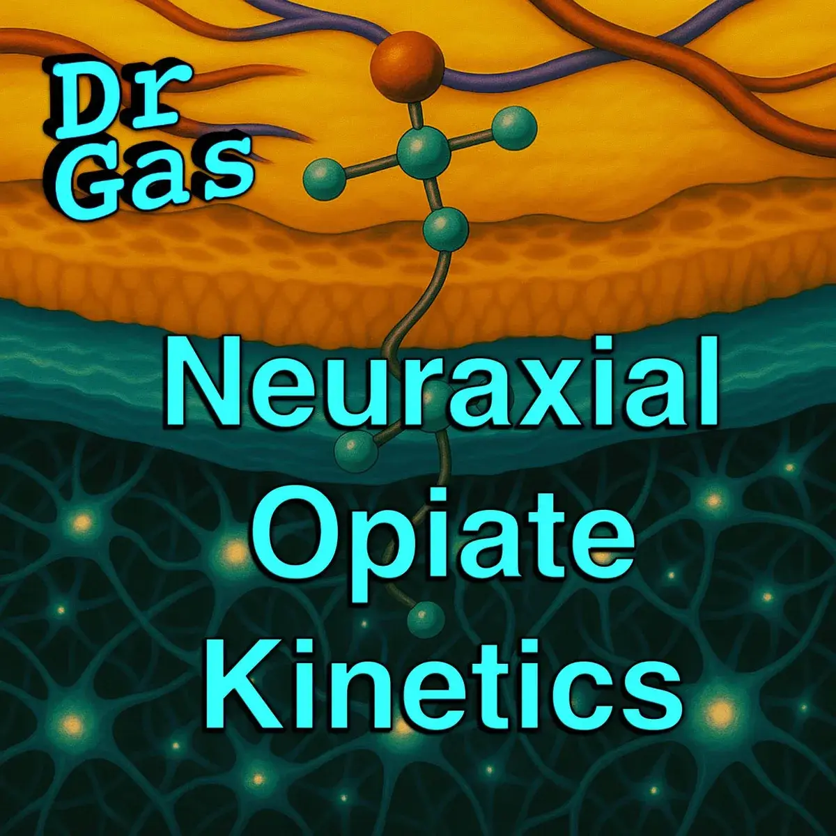 Diagram illustrating the epidural and intrathecal spaces with opioid molecule pathways — FRCA pharmacology