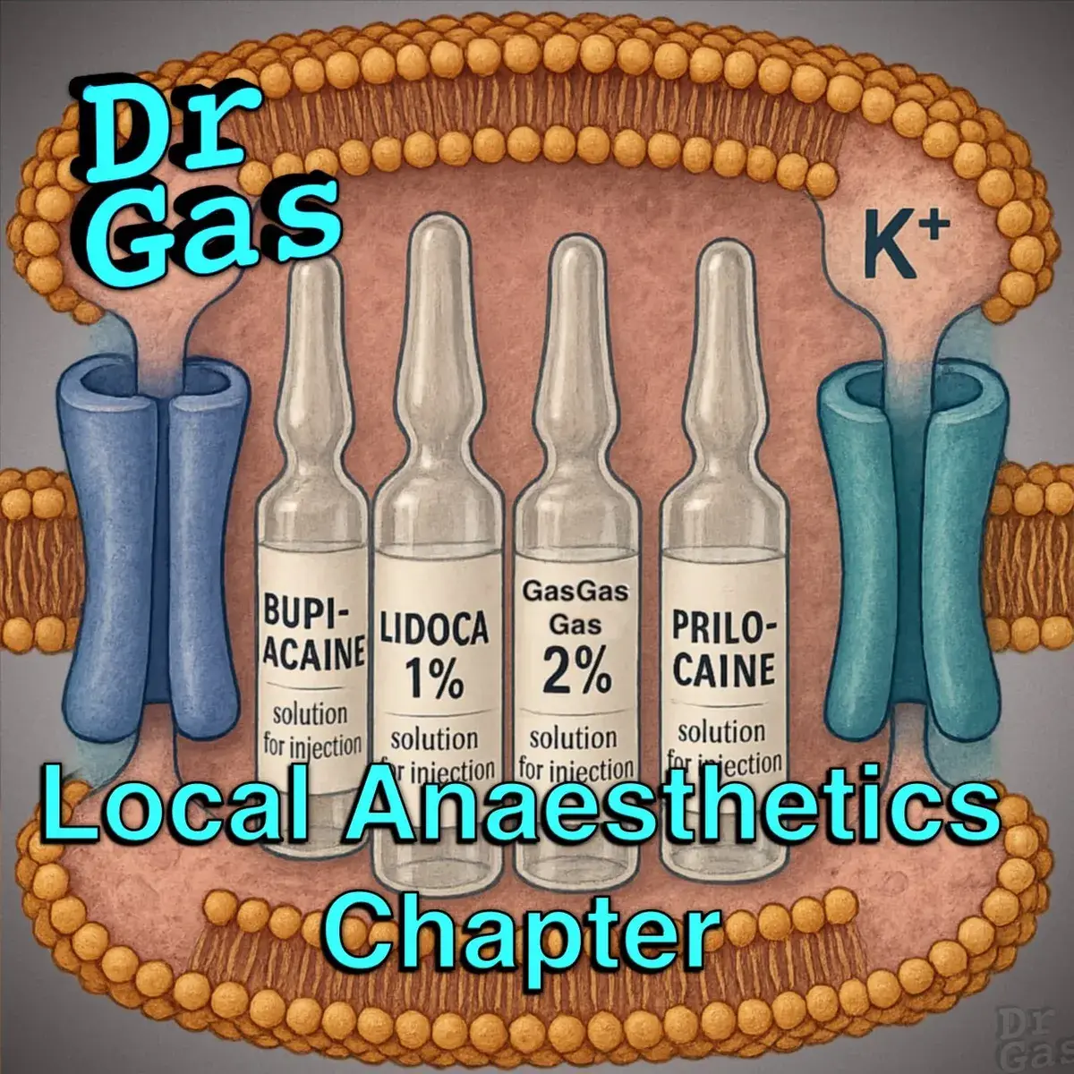 Diagram of voltage-gated sodium channel blockade illustrating local anaesthetic mechanism of action