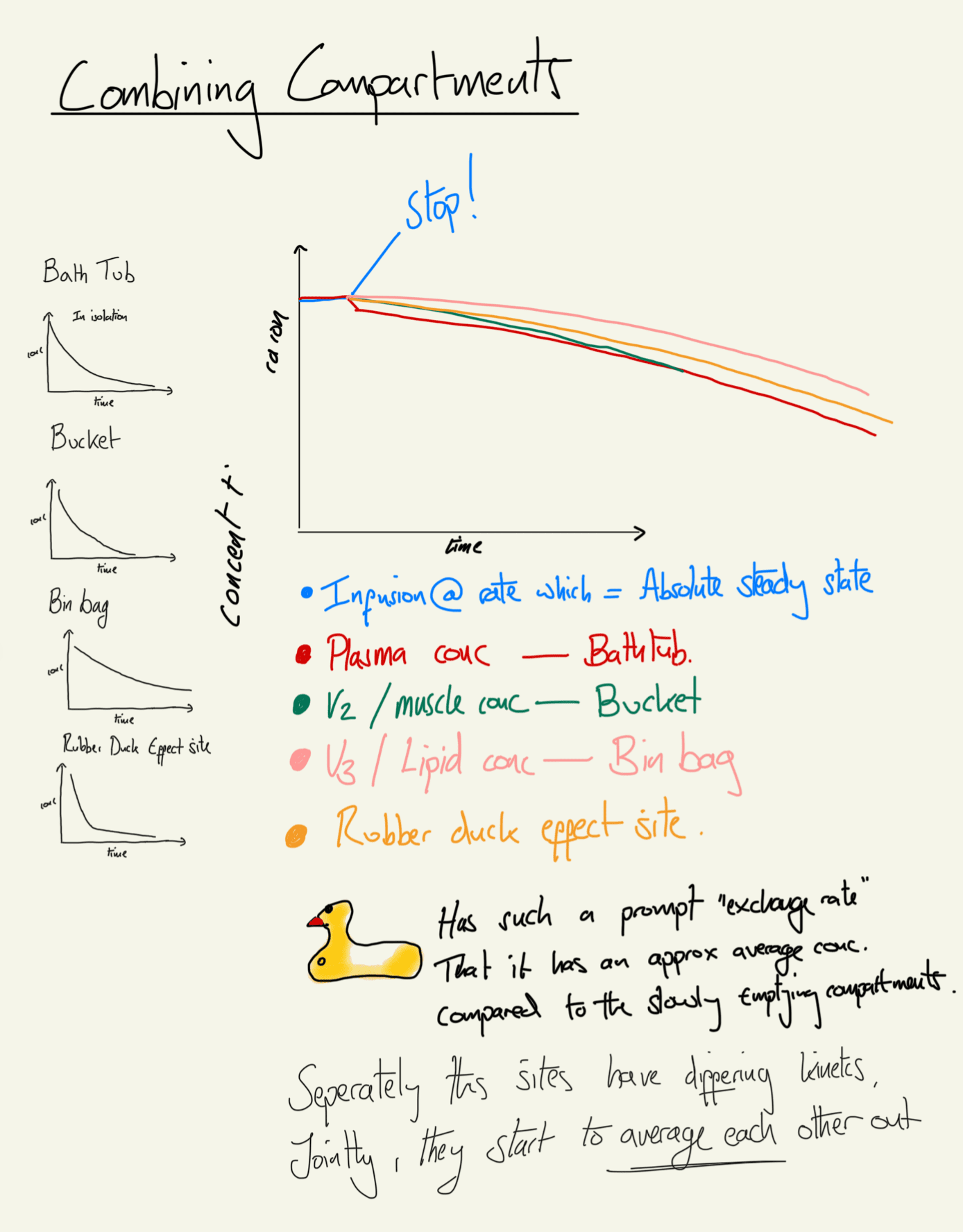 Multi compartmental Model pharmacokinetics : Combined compartments clearing fentanyl as a team