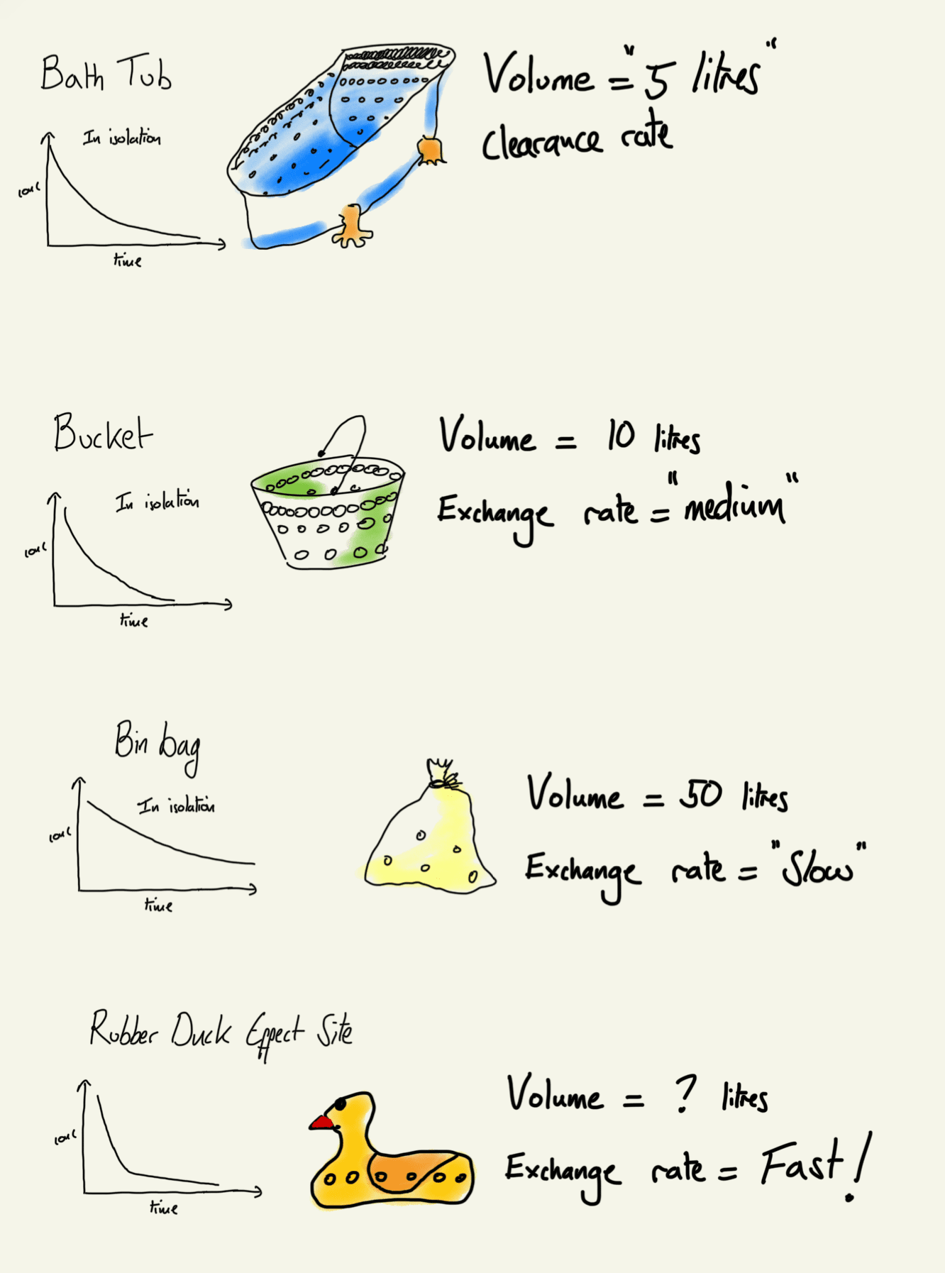 Multi compartmental Model pharmacokinetics: Comparing Relative compartment sizes 