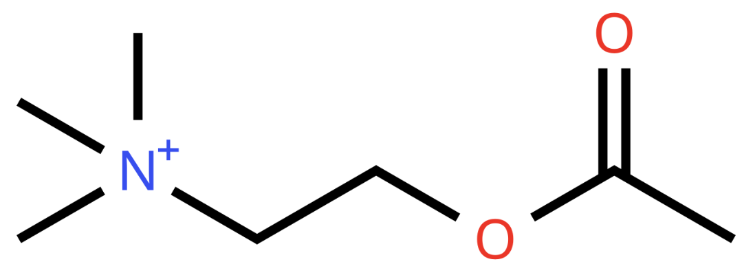 Acetylcholine