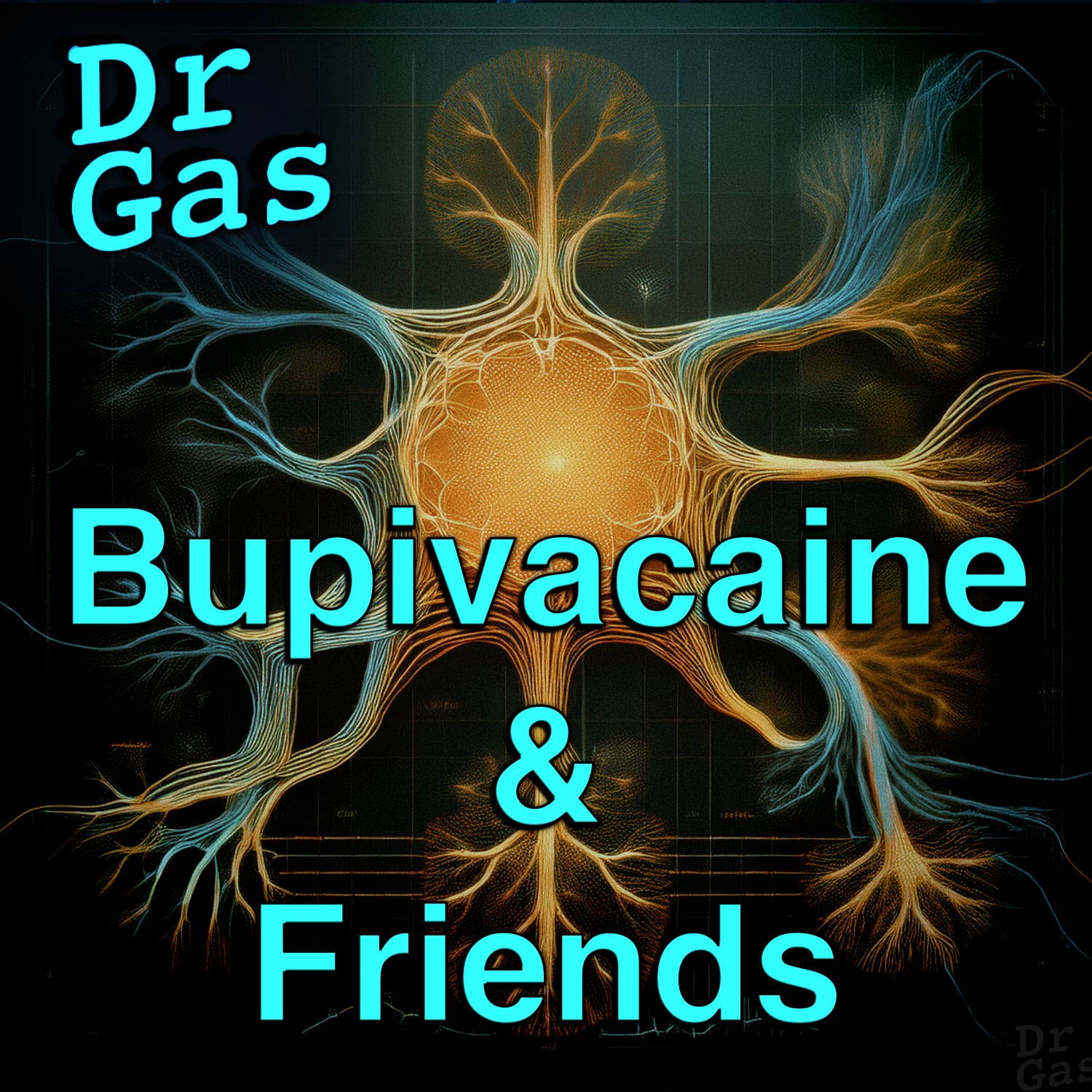 Bupivacaine for the FRCA Primary